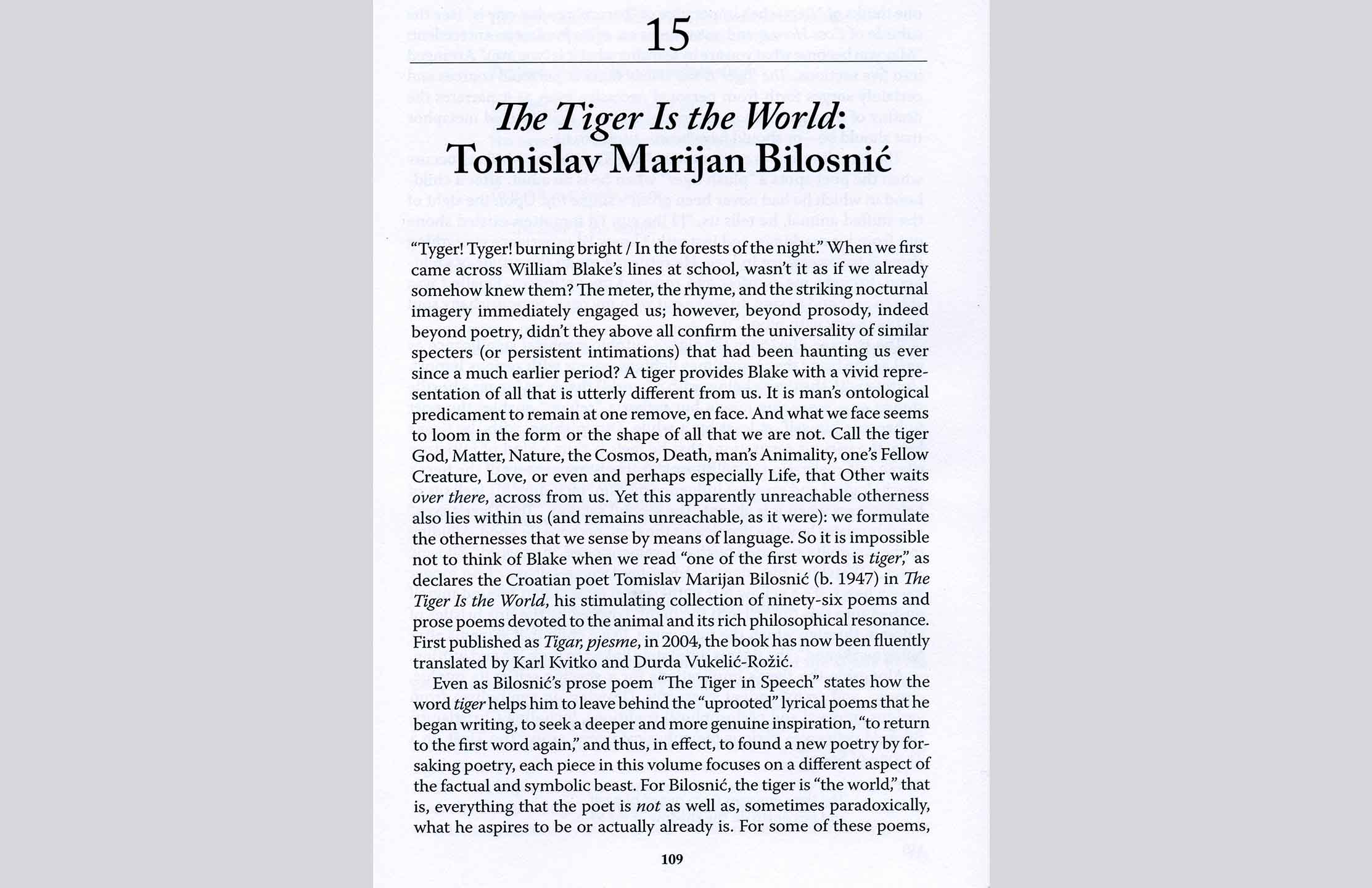 02 Svjetska recepcija Bilosniu0107eva tigra